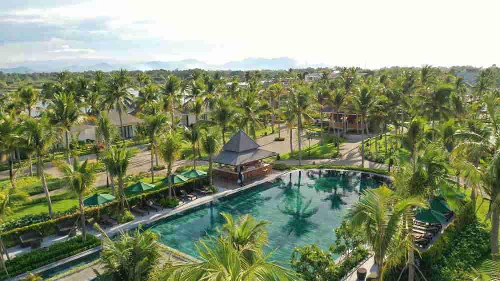 Rừng dừa xanh mướt trải dài bên dòng sông thơ mộng, tạo nên một khung cảnh yên bình đến nao lòng