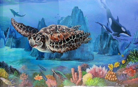 Ngắm nhìn san hô tự nhiên tuyệt đẹp tại Gành Yến Quảng Ngãi