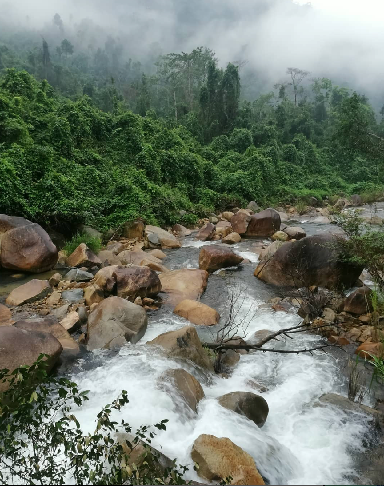 Du lịch Suối Chí Quảng Ngãi và hướng dẫn hành trình khám phá từ A-Z bởi người bản địa @notes_bykim