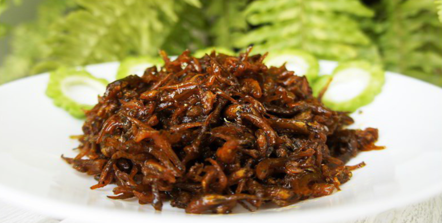 Cá Bống Sông Trà – Hương vị sông nước